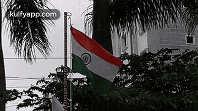 Flag Waving In Front Of Building And Palm Trees GIF