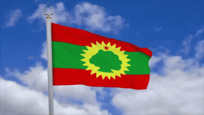 Flag Waving In Wind GIF