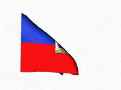 Flag Waving In Wind GIF