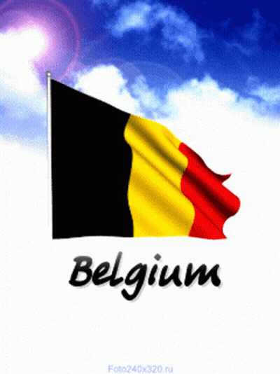 Flag With Belgium GIF