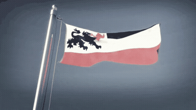 Flag With Black Lion Flying In Wind GIF