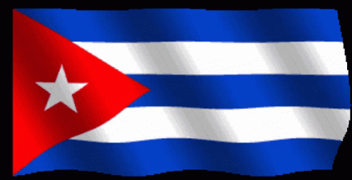 Flag With Blue White Red And Star GIF