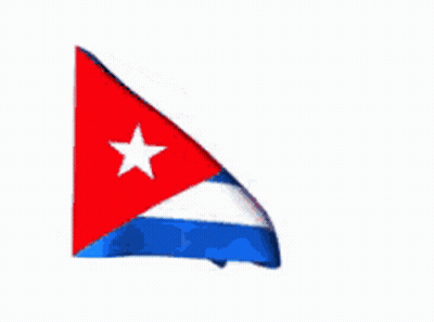 Flag With Blue White Red And Star GIF