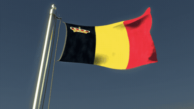 Flag With Crown GIF