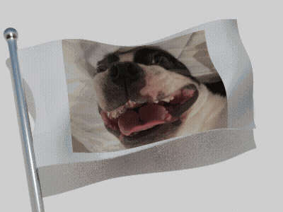 Flag With Dog GIF