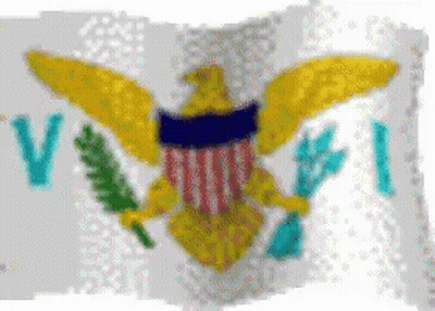 Flag With Eagle Letters V And Pi GIF