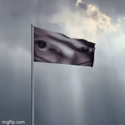 Flag With Face Picture GIF