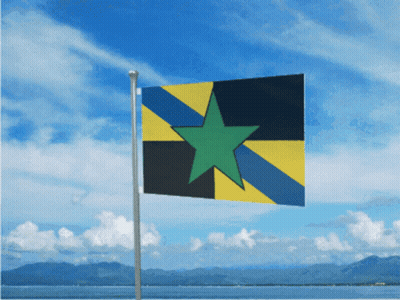Flag With Green Star Flying GIF