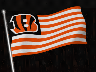 Flag With Letter B Waving GIF