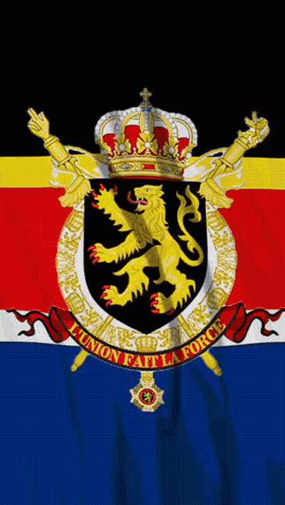 Flag With Lion And Union Fait La Force GIF