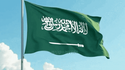 Flag With Man On Horse Holding Sword GIF