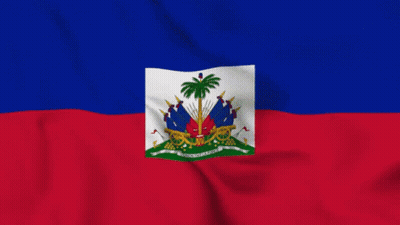 Flag With Palm Tree GIF