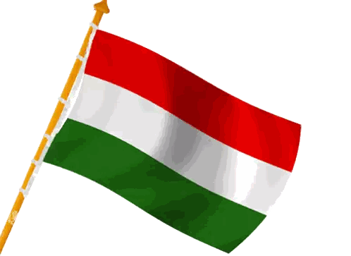 Flag With Red White Green And Yellow Pole Sticker