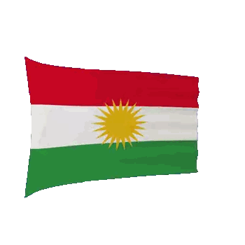 Flag With Red White Green And Yellow Sun Sticker