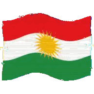 Flag With Red White Green And Yellow Sun Sticker