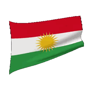 Flag With Red White Green And Yellow Sun Sticker