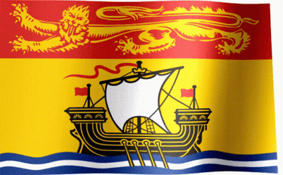 Flag With Ship And Dragon GIF