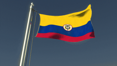 Flag With Snake In Center GIF