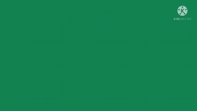 Flag With Star And Crossed Guns GIF