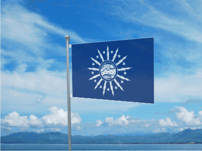 Flag With Sun And Stars GIF