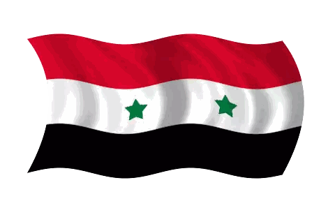 Flag With Two Green Stars Waving Sticker