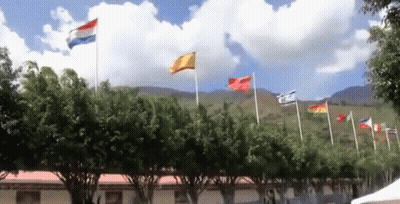 Flags Flying In Front Of Building GIF