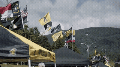 Flags Flying Including Virginia GIF