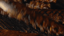 Flame Grilled Ribs GIF