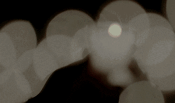 Flame On Bokeh Focus GIF