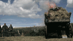 Flame On Pile Of Hay GIF