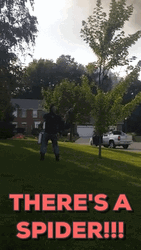 Flamethrower Killing Spider GIF