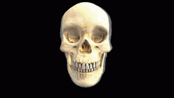 Flaming Skull Spooky Tuesday Good Morning GIF
