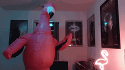 Flamingo Air Costume GIF