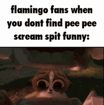 Flamingo Fans Not Finding Pee Pee Scream Funny GIF