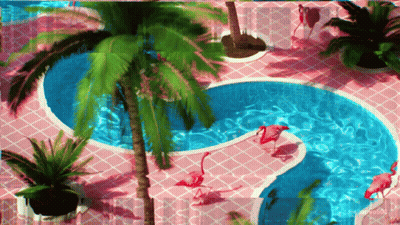 Flamingos Are Swimming In A Swimming Pool With Palm Trees GIF