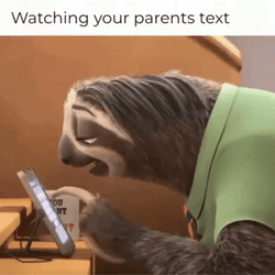 Flash Slothmore Slow Texting Zootopia GIF