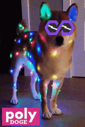 Flashing Lights Dog Sunglasses GIF