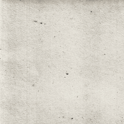 Flashing Modest Moth Art GIF