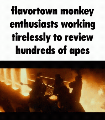 Flavortown Monkey Enthusiast Reviewing Hundreds Of Apes GIF