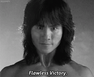 Flawless Victory GIF