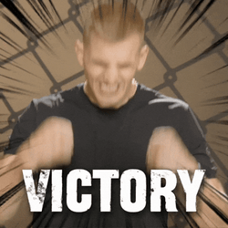 Flawless Victory Sports Win GIF