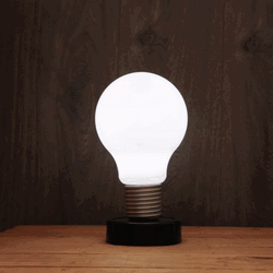 Flickering Light Bulb Flash GIF
