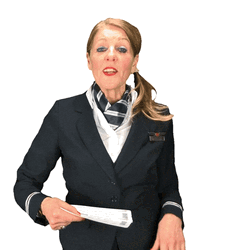Flight Attendant Handing Airport Ticket GIF