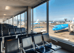 Flight Attendants Mimic Airplane Inside Airport GIF