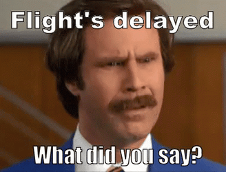 Flight's Delay Will Ferrell GIF