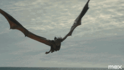 Flights Of Fancy Vhagar Dragon GIF