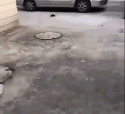 Flintstone Car Speed Broken GIF
