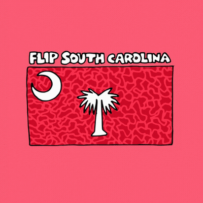 Flip South Carolina Flag Palm Tree Moon GIF