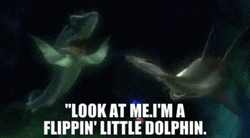 Flipping Little Dolphin GIF
