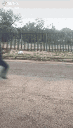 Flipping Off Flip Off Teich GIF
